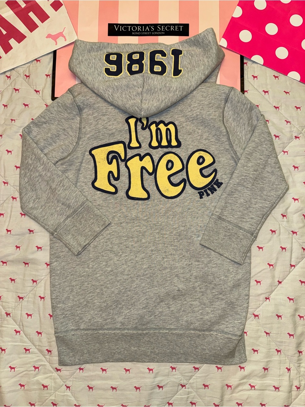 VS PINK VINTAGE Y2K HOODIE SWEATSHIRT GRAY 1986 “I’M FREE” DOG PUP LOGO RARE HTF